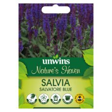 5051618036306 1 NH Salvia Salvatore Blue Seeds.jpg
